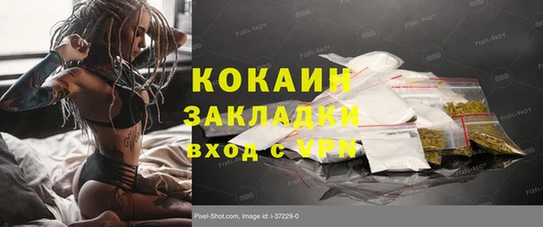 ГАЛЛЮЦИНОГЕННЫЕ ГРИБЫ Инта