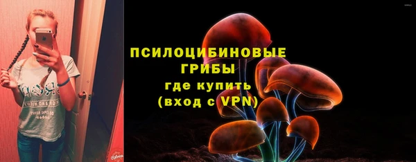 винт Инсар