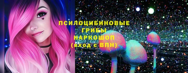 винт Инсар