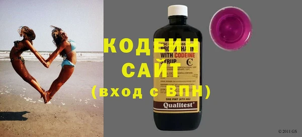 ГАЛЛЮЦИНОГЕННЫЕ ГРИБЫ Инта