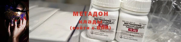 ГАЛЛЮЦИНОГЕННЫЕ ГРИБЫ Инта