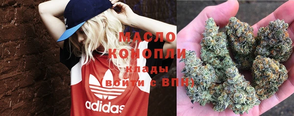 ГАЛЛЮЦИНОГЕННЫЕ ГРИБЫ Инта