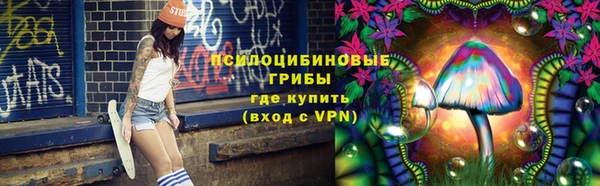 ГАЛЛЮЦИНОГЕННЫЕ ГРИБЫ Инта