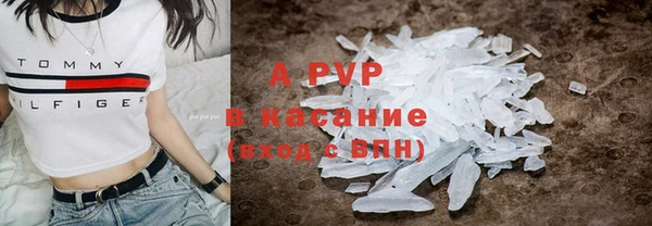 ГАЛЛЮЦИНОГЕННЫЕ ГРИБЫ Инта