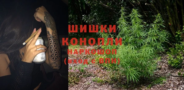 винт Инсар