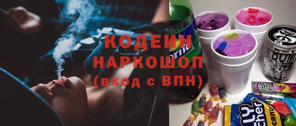 ГАЛЛЮЦИНОГЕННЫЕ ГРИБЫ Инта