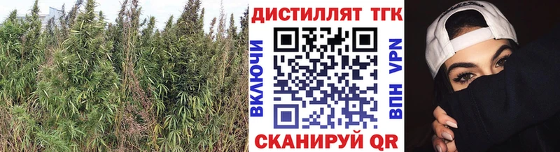 Купить  Гуково  Дистиллят ТГК концентрат 
